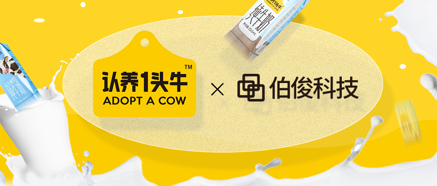 認養一頭牛牽手伯俊，啓動數智化建設升級